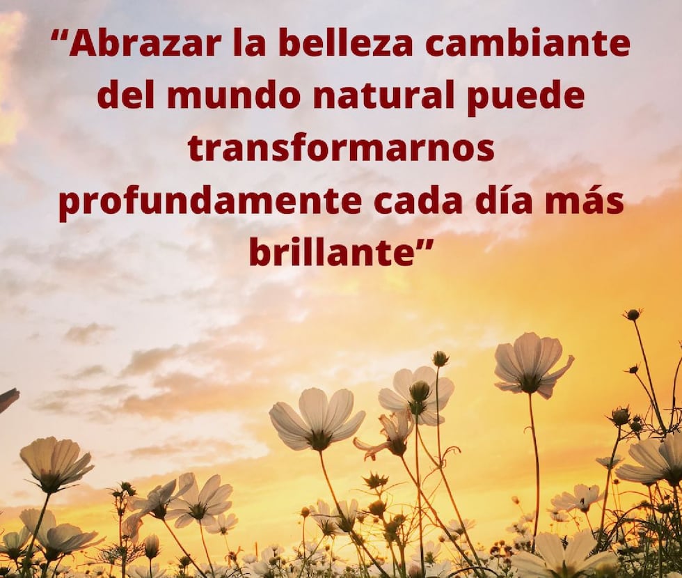 "Abrazar la belleza cámbiate del mundo natural puedes transformarnos profundamente cada día más brillante"(Foto: Composición Mix/Canva)