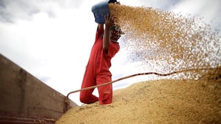 Los superprecios de los granos, un bálsamo para la economía de Argentina