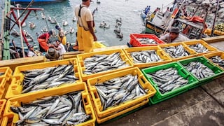 Pesca sería único sector que crecería a doble dígito en 2024, pero por efecto “rebote”