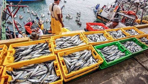 Pesca sería el único sector que crecería a doble dígito en el 2024. (Foto: GEC)