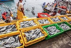 Sector pesquero habría crecido 55.2% en junio por mayor descarga de anchoveta