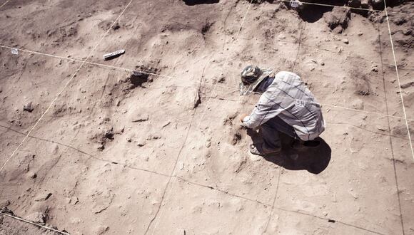 Es uno de los yacimientos más importantes en el Norte de Tanzania del periodo conocido como Middle Stone Age (MSA), que fue excavado en la década de 1930 y cuyo nivel IV-B se excavó entre 1977 y 1981, pero del que no se tenían datos hasta ahora. | Foto: Shutterstock