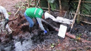 Loreto: Petroperú recuperó 267 barriles de crudo tras derrame