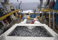 Pesca peruana acelera su transformación con datos e inteligencia analítica