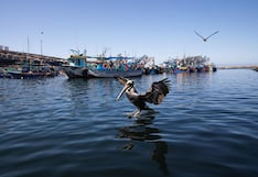 Capitanía ordena cierre del puerto de Matarani
