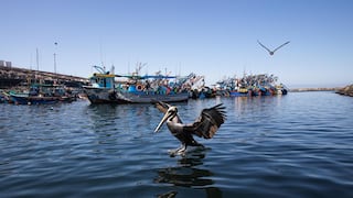 Capitanía ordena cierre del puerto de Matarani