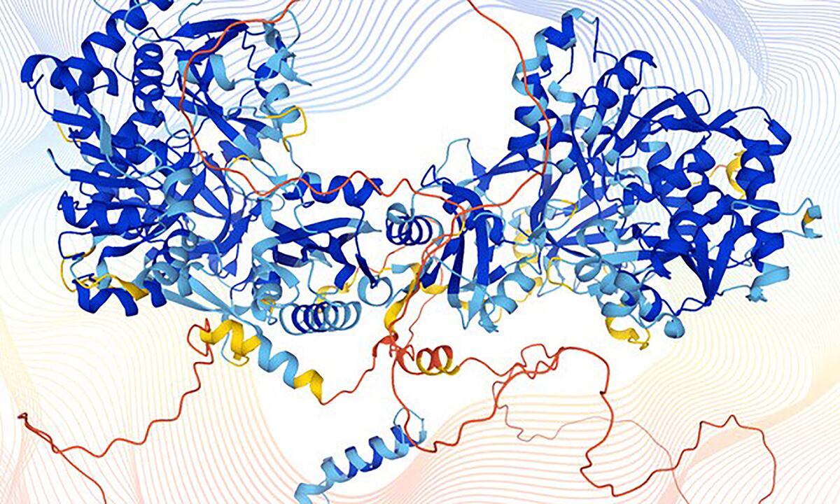 Las proteínas realizan una gran parte de las actividades que permiten la supervivencia de las células y son necesarias para la función y regulación de tejidos y órganos.