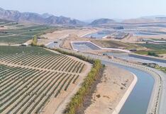 Superficie de cultivo en Perú se ampliaría en 80% con proyectos de irrigación