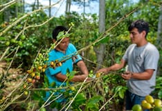 Almafin, del Grupo Andino, reconfigura su negocio por El Niño: ¿cómo gana espacio el agro?