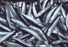 El Niño Costero en Perú: esto le costó a la pesca y agro cada “aparición” del fenómeno