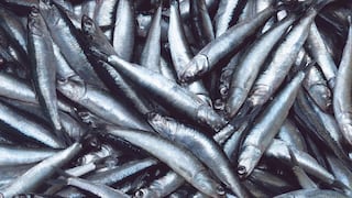 El Niño Costero en Perú: esto le costó a la pesca y agro cada “aparición” del fenómeno