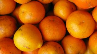 Productores de naranjas en Florida temen duro impacto de Dorian
