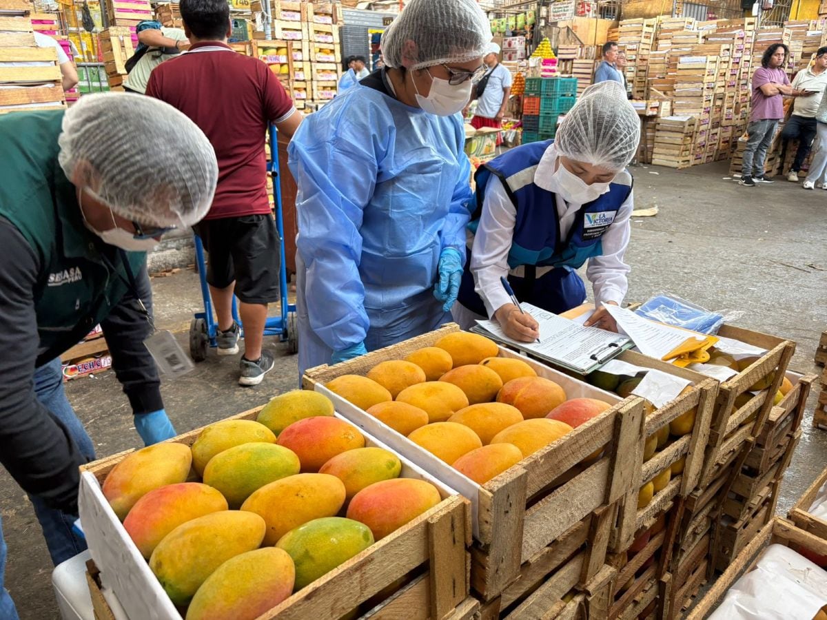 La Fiscalía de Prevención del Delito realizó operativos en mercados de La Victoria para verificar la presencia de agroquímicos en frutas. Foto: Ministerio Público.