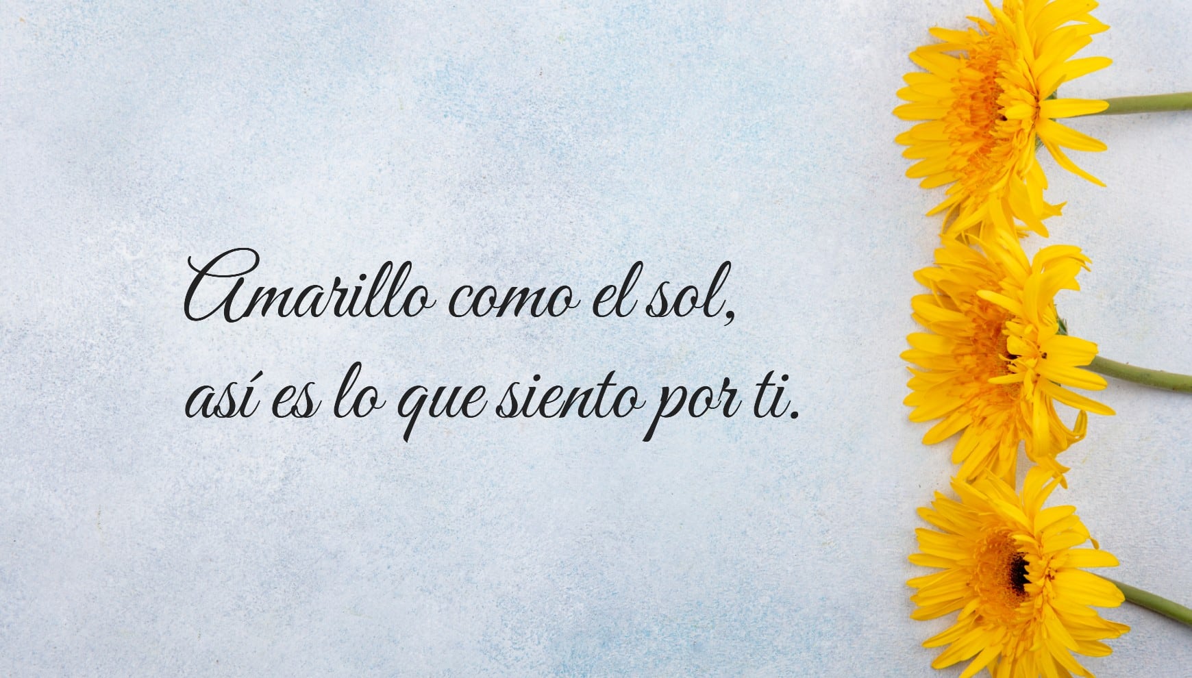 El 21 de marzo es perfecto para regalar flores amarillas y acompañarlas con frases llenas de cariño. | Crédito: Composición Gestión Mix / Freepik