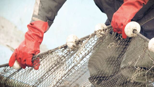 Incidencia de los accidentes en el sector pesca