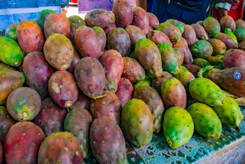 Solo alrededor del 15% de la producción de tuna cumple con los estándares requeridos para exportación, mostrando así un desafío para consolidarse en el exterior.