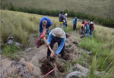 Agricultores temen grandes pérdidas en sus cultivos por falta de agua y culpan a Odebrecht