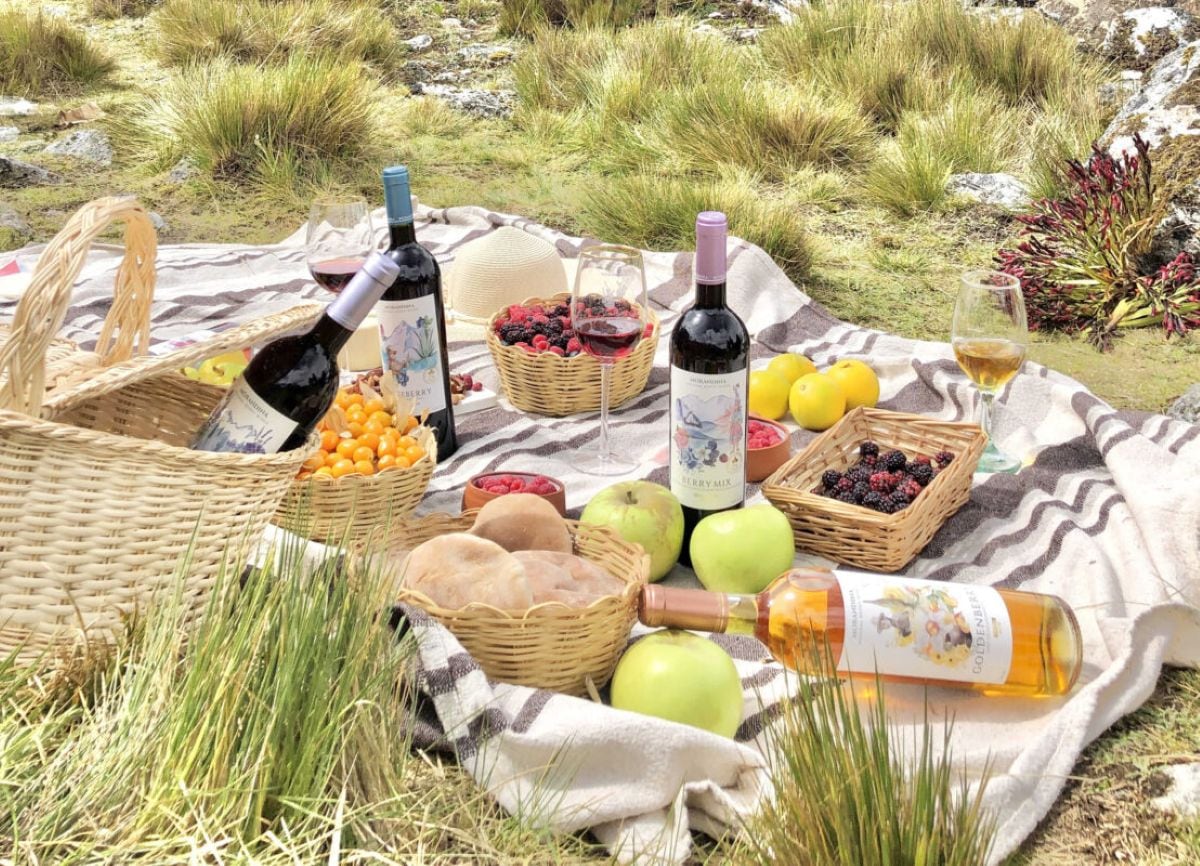 Lo que empezó con cultivos de maíz, cebolla y zapallo terminó convirtiéndose en, lo que los Bobadilla consideran, una marca pionera en vinos de berries. Foto: Morandina.