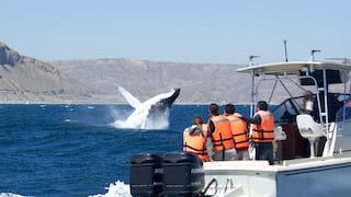 La nueva prioridad del turista para este verano 2026, ¿adiós al viaje exprés?