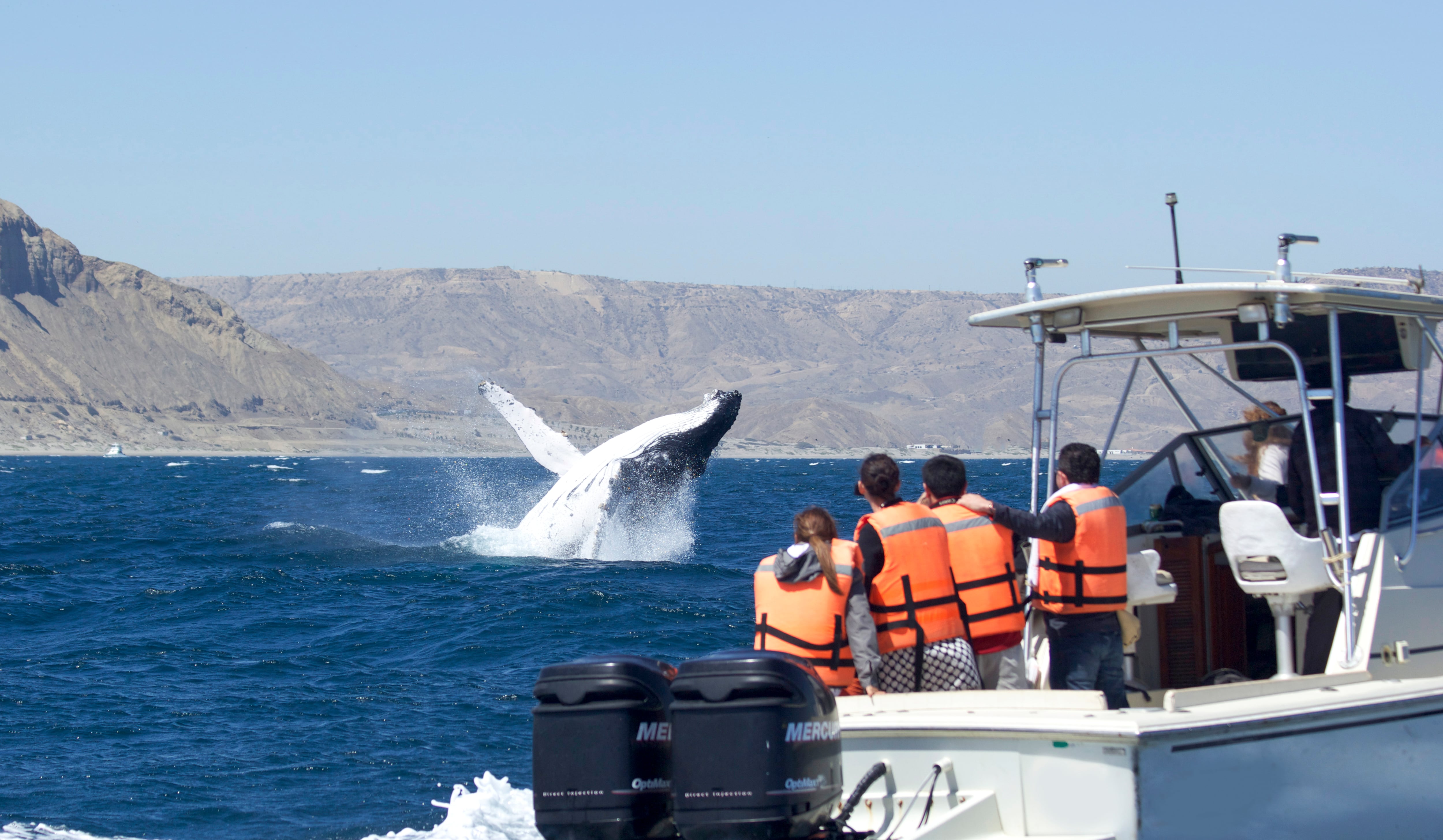 El ticket promedio de los viajeros está aumentando tras la recuperación postpandemia, impulsando la demanda hotelera, que ahora se enfoca en satisfacer las nuevas exigencias para la temporada verano 2026. Foto: Aranwa
