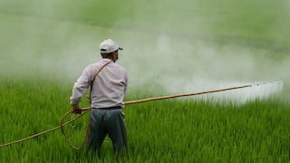 Senasa prohíbe importación y registro del herbicida Paraquat