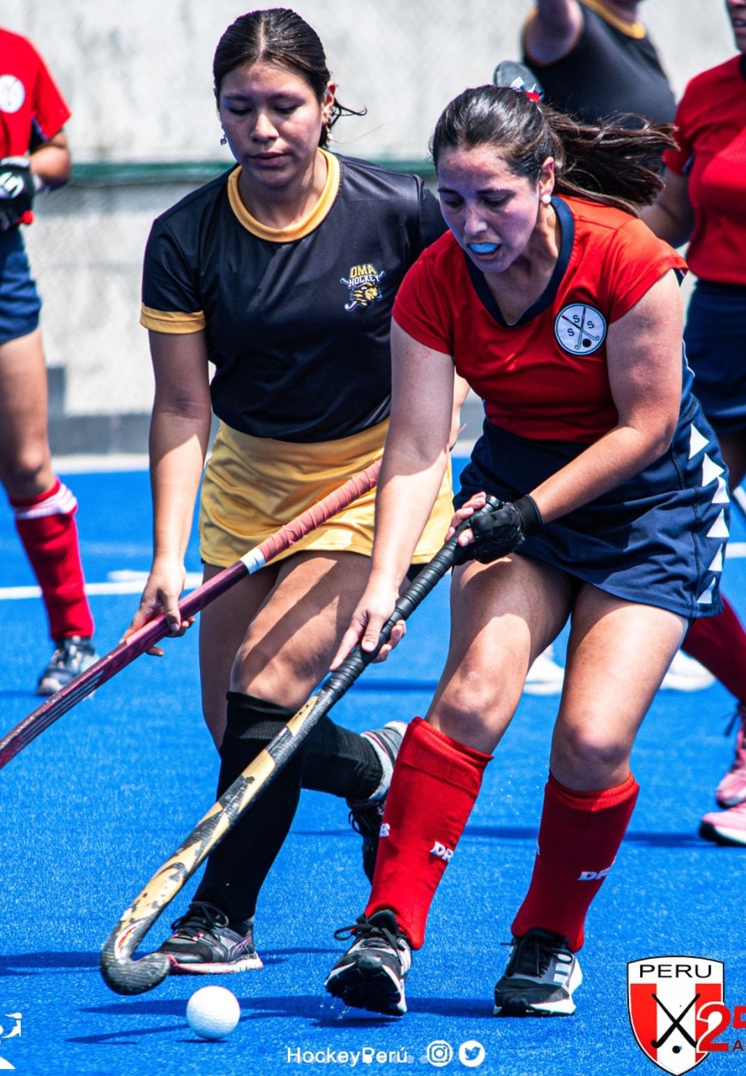 Las selecciones peruanas de hockey han clasificado a tres Juegos Panamericanos consecutivos. (Foto: FPH)