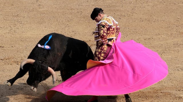 Congreso de Colombia prohíbe las corridas de toros en todo el país