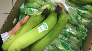 Perú deja de exportar más de US$ 500 mil en bananos por cada día de paro de transportistas