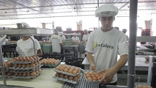 La Calera busca aumentar volumen de huevos en medio de menores costos de producción