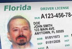 Florida: los documentos que necesitan los inmigrantes para tramitar la licencia de conducir
