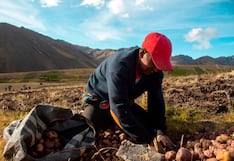 Agricultura peruana: el cierre del 2024 y los desafíos para este año