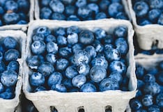 Danper, Cerro Prieto, Camposol y otras: los planes que marcarán la agroexportación en 2026