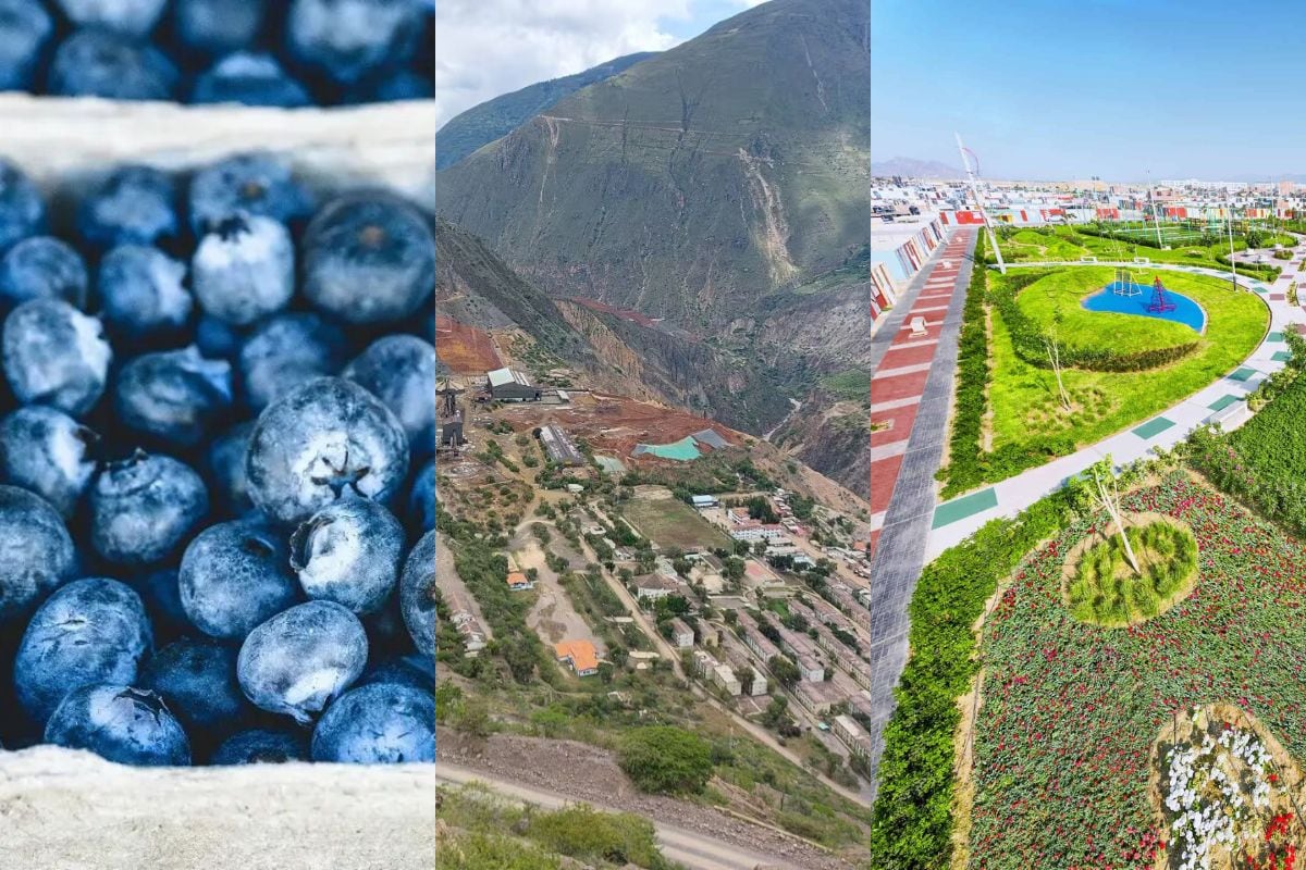 En 2025, el holding cerró con una facturación de US$ 1,100 millones. (Foto: Composición Gestión)