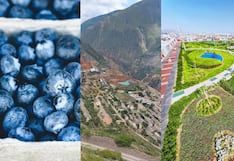 Grupo DC: las inversiones que alista el holding dueño de Camposol en tiempos de transición