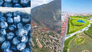 Grupo DC: las inversiones que alista el holding dueño de Camposol en tiempos de transición