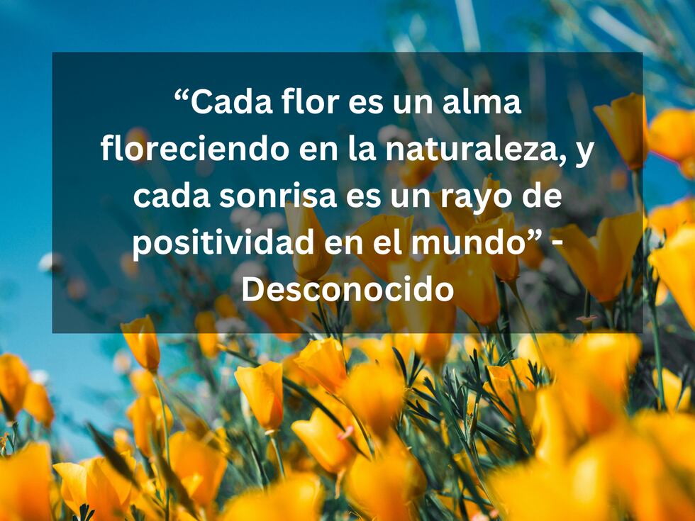 “Cada flor es un alma floreciendo en la naturaleza, y cada sonrisa es un rayo de positividad en el mundo” - Desconocido | Foto de Sergey Shmidt en Unsplash / Composición Mix