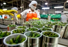 Agroexportadores “en alerta”: la lista de proyectos de ley antiinversión que los asusta