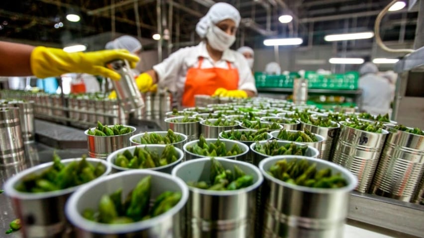 Hoy, el Perú se posiciona como el exportador número uno del mundo en productos como arándanos y uvas. (Foto: Andina)