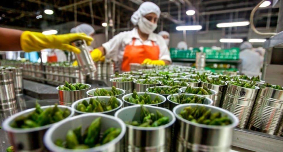 El Niño pone en alerta las exportaciones agrícolas peruanas