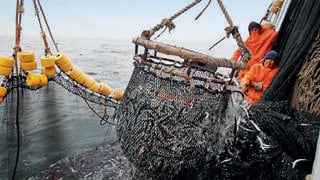 Pleno aprobó norma que promueve la implementación de la Iniciativa de Transparencia Pesquera