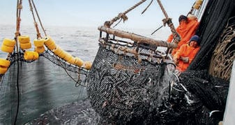 Tania Ramírez, presidenta de la Comisión de Producción, dijo que la propuesta legislativa contribuirá a generar mayor credibilidad y confianza del sector pesquero. (Foto: GEC)