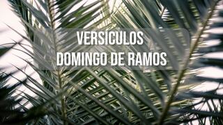 Citas bíblicas de Domingo de Ramos: versículos para compartir con la familia este 24 de marzo