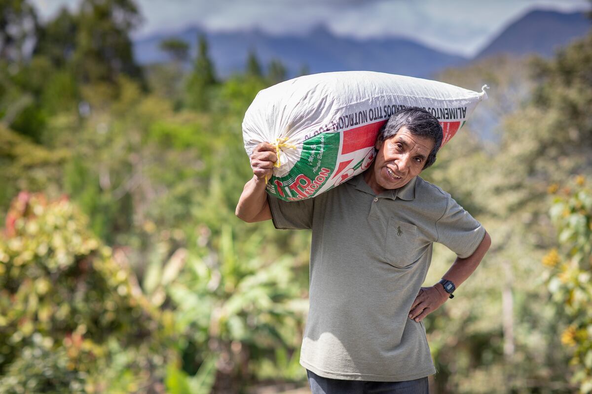 La baja del café fue la más relevante de los resultados, al totalizar US$ 102.3 millones, con un descenso del 70.1%. (Foto: Richard Hirano)