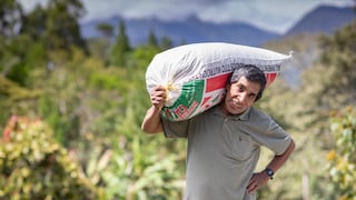 Café amargo: agroexportaciones caen hasta abril