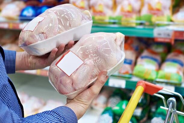 Se establecieron nuevos criterios para la importación de aves al país, teniendo en cuenta un posible escenario de influenza aviar.