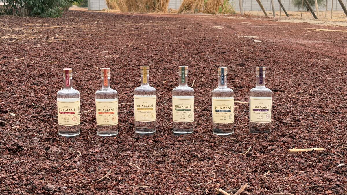 Pisco Huamaní apunta a EE.UU. y busca crecer en este negocio turísitco: sus planes al 2027