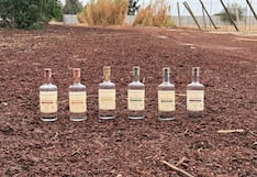 Pisco Huamaní apunta a EE.UU. y busca crecer en este negocio turísitco: sus planes al 2027