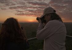 Perú es el líder mundial en observación de aves con 251 nuevas especies detectadas