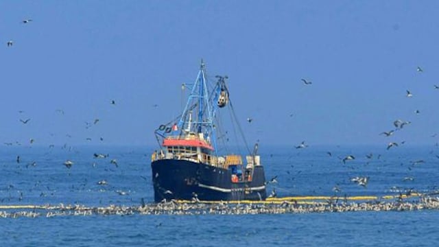 Sociedad Nacional de Pesquería defenderá cuota de captura de jurel en el Pacífico