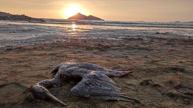 Digesa calificó a estas  24 playas contaminadas por el derrame de petróleo y recomienda no visitarlas